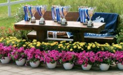 Moduls Rīga atbalsta „KAP Jumping Horse Show”