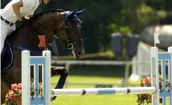 SIA “Moduls Rīga” 12 gadus atbalsta Pasaules kausa izcīņas posmu jāšanas sportā