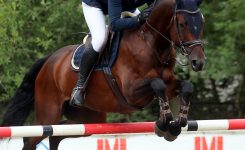 Moduls Engineering supports the key horse riding sports events in Latvia
